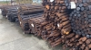 Houten palen